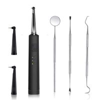 Electric Dental Calculus Remover with LED, High-Frequency Vibration Tooth Tartar Scraper for Teeth Calculus/Tartar/Dental Plaque/Smoke Stain Remover, Professional Teeth Polishing Cleaning Tools