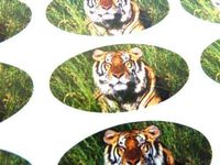 Minilabel Pack Of 48 Tiger Seals , 40X20mm Oval Seal Labels, Stickers For Gift Wrapping, Presents, Envelopes, Bags Or Cards