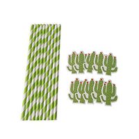 Molyveva Premium Paper Drinking Straws Biodegradable Paper Straws for Holiday Anniversary Birthday Graduation Wedding Bridal & Baby Parties - Fun Paper Straws Cactus Themes - Pack of 10 Peices