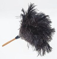 GM Royal Ostrich Feather Duster (Small GM01 (16"), Black)