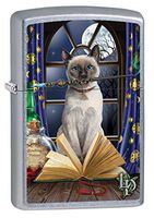 Zippo Lighter: Lisa Parker Library Cat - Street Chrome 80079