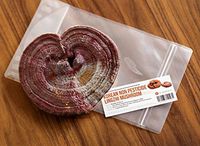 Premium Grade Lingzhi Mushroom, Reishi Mushroom, Reshie Mushroom, Ganoderma Lucidum_영지버섯 (Whole and not Cut)_Non Pesticide_Medicinal Grade Herbs from S.Korea