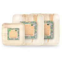 Palm Fridays Ecoware Square Disposable Plates - Compostable - 100% Natural - Chemical Free - USDA Certified (50, 6 Inch)