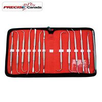 PC 12 PCS Sinus Lift Instruments Set IMPLANT Dental Dentistry Double Ended Instruments