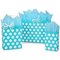 NW Turquoise Polka Dots Paper Shopping Bags Assortment - 375 Pack