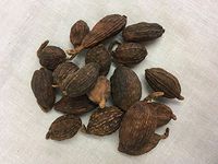 草果 | Tsaoko Amomum Fruit