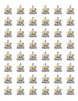 tkcutecandies123 48 Peanuts Charlie Brown Envelope Seals Labels Stickers 1.2" Round !
