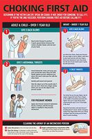 Safety Supply Mart Choking First Aid Poster for Kids and Adults, Infants, Pregnants, 12' x 18", Laminated