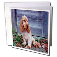 3dRose English Cocker Spaniel - Greeting Cards, 6 x 6 inches, set of 12 (gc_13750_2)