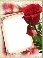 Valentine Day Romantic Frame & Red Roses Stationery Printer Paper 26 Sheets