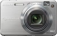 Sony Cybershot DSCW170 10.1MP Digital Camera with 5x Optical Zoom with Super Steady Shot (Silver)