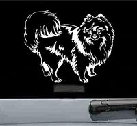 JS Artworks Cute Pomeranian Vinyl Decal Sticker (White)