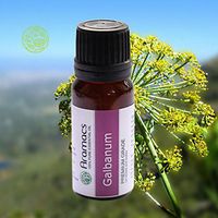Galbanum Essential Oil - 100% Undiluted Therapeutic Grade 10 ML