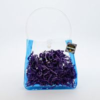 Birthday Party Gift Favor Clear Soft Vinyl Tube Handle Snap on Botton Bag w Blue Colored Sides by Mighty Gadget (R) (6.5" x 1.75" x 6.5")