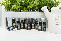 10 pc Therapeutic Grade Essential Oil Starter Collection