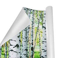 Gift Wrapping Paper Roll Sunlight Birch Forest for Birthday,Holiday,Wedding,Baby Shower Gift Wrap - 3Rolls - 58inch x 23inch Per Roll