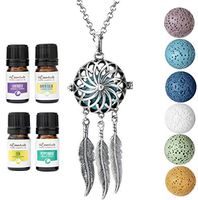 Wild Essentials Dream Catcher Essential Oil Diffuser Necklace Gift Set Includes Aromatherapy Pendant, 24" Stainless Steel Chain, Lava Stones and Pure Oils (Lavender, Peppermint, Inner Calm and Zen)