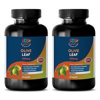 Natural Immune Booster for Adults - Olive Leaf Extract 500mg - Olive Leaf Vitamins - 2 Bottles 120 Capsules