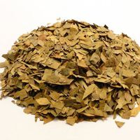 Bulk Herbs-Ginkgo Leaf Cut & Sifted, 16 Ounces (1 Pound)