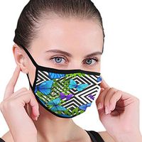 Mouth Masks for Dust Protection Anti Face Mask Washable Earloop Mask Blue Butterfly