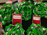 Green with Silver Border Giant Gift Bow(Pack of 5)