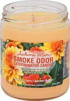 Smoke Odor Exterminator 13oz Jar Candles Autumn Mum, Pack of 2