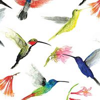 Gift Wrapping Beautiful Hummingbird Tissue Paper