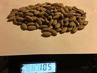 Gan Cao, Licorice [root], 100 CT of Oval Tablet-(500mg) by baicao