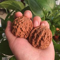 Chinese Wenwan 2Pcs Natural Walnuts Massage Balls Set, Fitness Decompression Exercise, Massage Handball Health Grip Ball