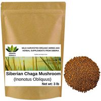 Wild Harvested Organic Siberian Chaga Mushroom Crushed (Inonotus Obliquus) from The Ecologically Clean Shores of Lake Baikal Fresh Harvest Direct from Siberia 1360 gm (3 lb)