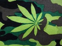 'NUGGLEBUDDY NEW! Microwavable Moist Heat & Aromatherapy Organic Rice Pack. Novelty Camo Cannabis Fabric UNSCENTED!