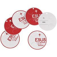 Fox Valley Traders Jesus is The Reason Tag Set of 12