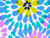 MAKE A SPLASH 24"x833'Gift Wrap Full Ream Roll (1 unit, 1 pack per unit.)