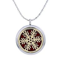 Paw Paw House Aromatherapy Essential Oil Diffuser Necklace Floating Charm Locket Pendant Stainless Steel (5103-3)