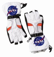 Aeromax Astronaut Gloves, size Large, White, with NASA patches