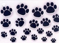 Paw Prints Gift Card Tags - 1 dozen (12)