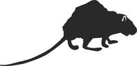 hBARSCI Rat Vinyl Decal - 5 Inches - for Cars, Trucks, Windows, Laptops, Tablets, Outdoor-Grade 2.5mil Thick Vinyl - Matte Black