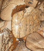 Picture Jasper Tumblestones