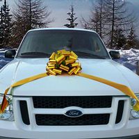 Big Metallic Gold Gift Bow - 14" Wide, Birthday, Dance, Christmas, Anniversary, Wedding, School, Office, Decoration, Fundraiser, Reception, Homecoming, House Warming, New Year's Eve, Thanksgiving