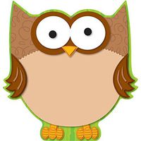 Carson Dellosa Owl Two-Sided Decoration (188019)
