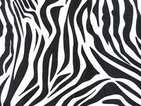 Zebra Design Print Gift Grade Tissue Paper Sheets - 15" x 20" Package Amount (5)