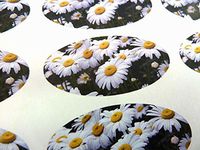 Pack of 48 Daisy Flowers Seals , 40x20mm Oval Seal Labels, Stickers for Gift Wrapping, Presents, Envelopes, Bags or Cards