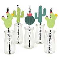 Big Dot of Happiness Prickly Cactus Party - Paper Straw Decor - Fiesta Party Striped Decorative Straws - Set of 24
