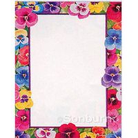 Pansy Border Letterhead - 25 Sheets