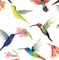 Beautiful Hummingbird Gift Wrapping Tissue Paper for Art DIY Crafts in Bulk #291-10 Large Sheets Size 20" x 30"