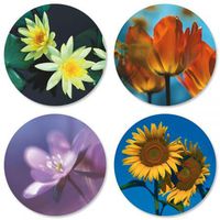 Floral Get Well Wishes Stickers- Set of 24 Round Evelope Seals