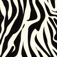 Zebra Printed Tissue 20 x 30" 24 Sheets