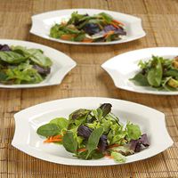 Efavormart 50 Pcs - Ivory w/Silver Edge 10.5" Crescent Oval Shaped Disposable Plastic Plate for Wedding Catering Party Banquet