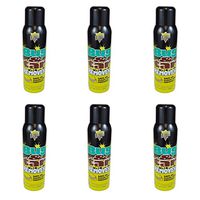 Lifter 1 Bug and Tar Remover (A Case of 6 Cans) - 16 Oz.