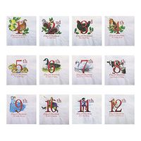Hoffmaster 831346 Holiday Disposable Beverage Napkins - 12 Days of Christmas, 10" x 10" Unfolded, 4.25" x 4.25" Folded, 2 Ply (Pack of 1000)
